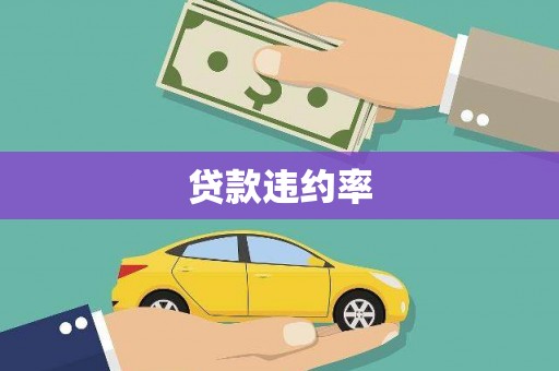 水里贷款违约率