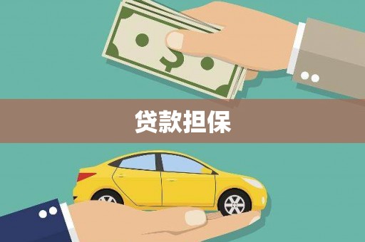 水里贷款担保
