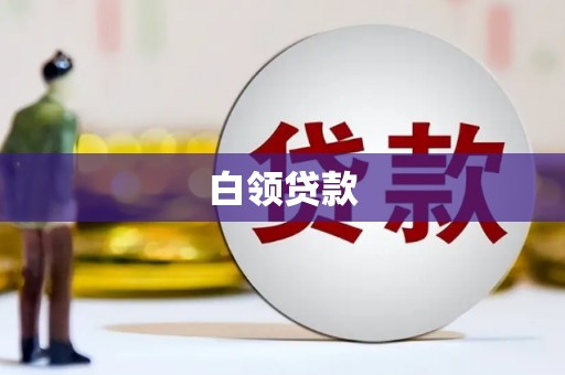 水里白领贷款