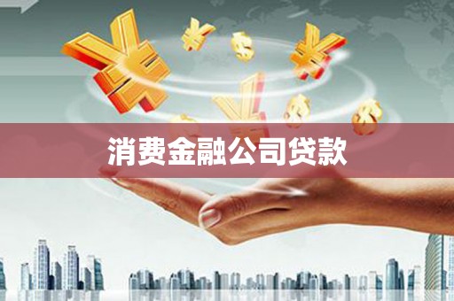 水里消费金融公司贷款