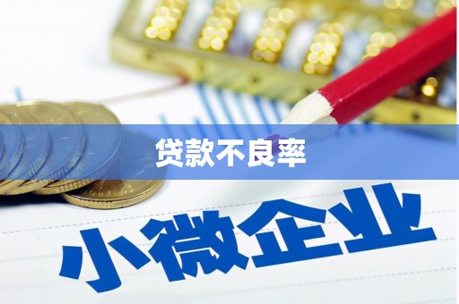 水里贷款不良率