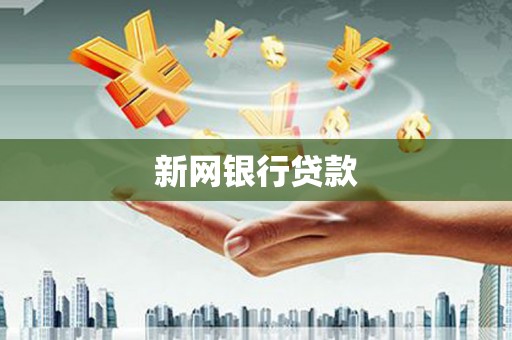 水里新网银行贷款