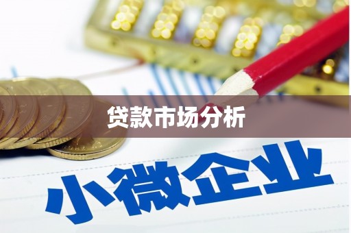 水里贷款市场分析