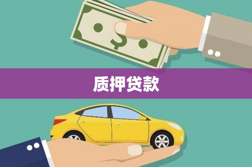 水里质押贷款