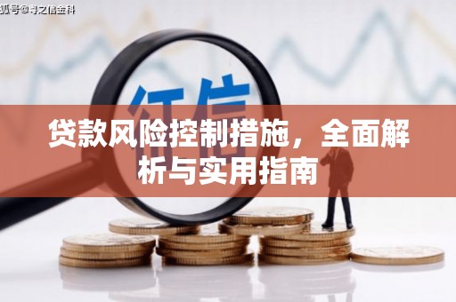 水里贷款风险控制措施，全面解析与实用指南