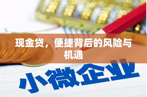 水里现金贷，便捷背后的风险与机遇