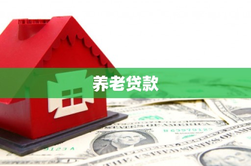 水里养老贷款