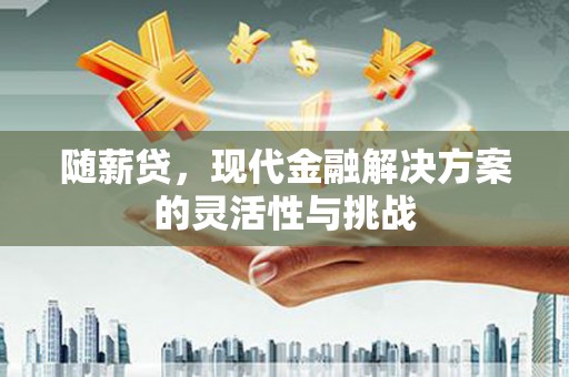 水里随薪贷，现代金融解决方案的灵活性与挑战