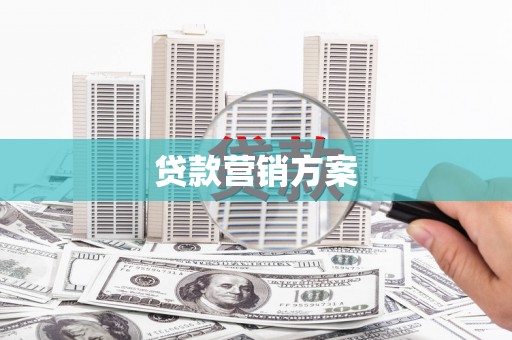 水里贷款营销方案