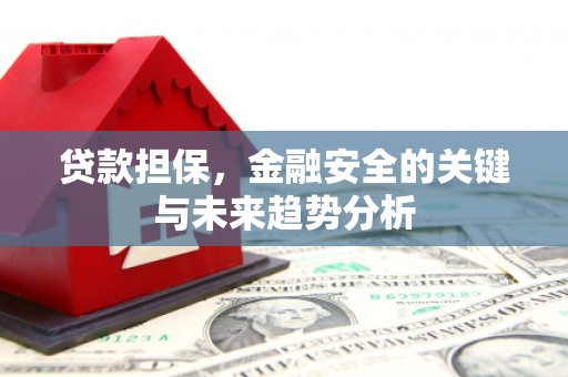 水里贷款担保，金融安全的关键与未来趋势分析