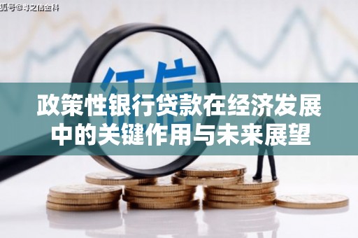 水里政策性银行贷款在经济发展中的关键作用与未来展望