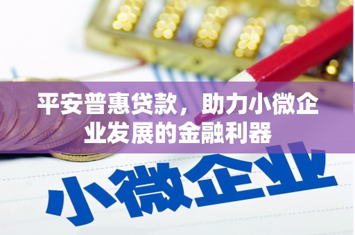 水里平安普惠贷款，助力小微企业发展的金融利器