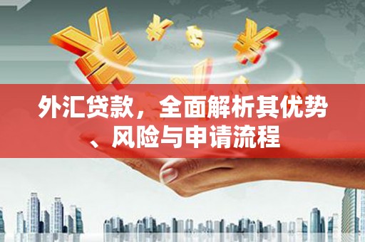 水里外汇贷款，全面解析其优势、风险与申请流程