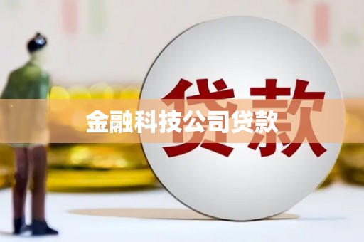 水里金融科技公司贷款