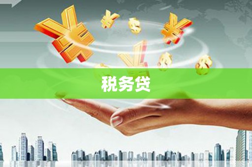 水里税务贷