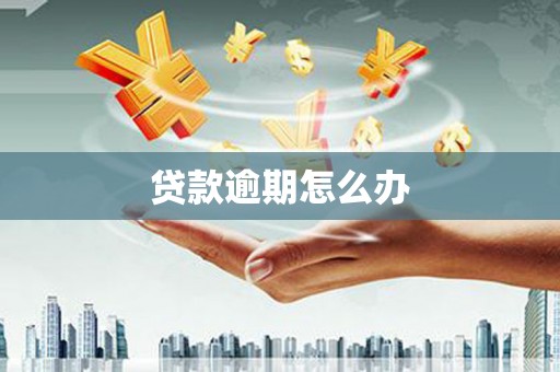 水里贷款逾期怎么办