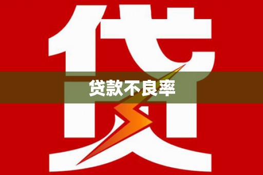 水里贷款不良率