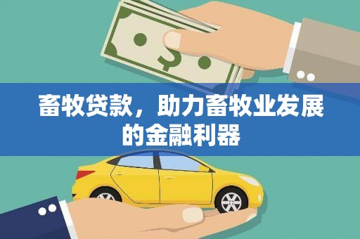 水里畜牧贷款，助力畜牧业发展的金融利器