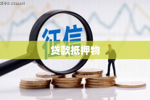 水里贷款抵押物
