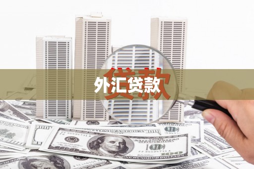 水里外汇贷款