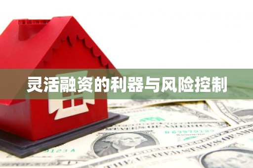 水里灵活融资的利器与风险控制