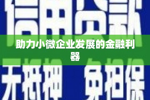 水里助力小微企业发展的金融利器