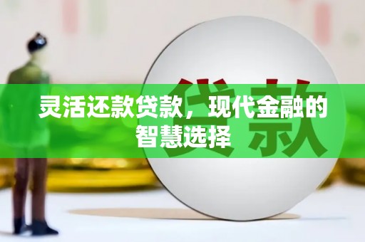 水里灵活还款贷款，现代金融的智慧选择