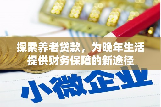 水里探索养老贷款，为晚年生活提供财务保障的新途径