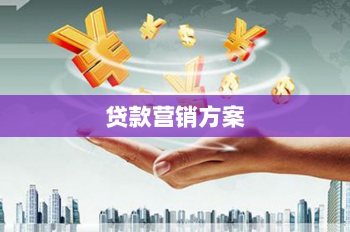 水里贷款营销方案