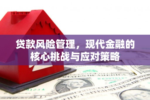 水里贷款风险管理，现代金融的核心挑战与应对策略