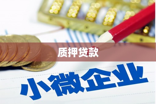 水里质押贷款