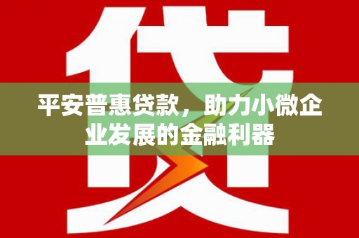 水里平安普惠贷款，助力小微企业发展的金融利器