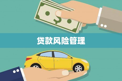 水里贷款风险管理