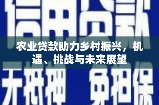 水里农业贷款助力乡村振兴，机遇、挑战与未来展望