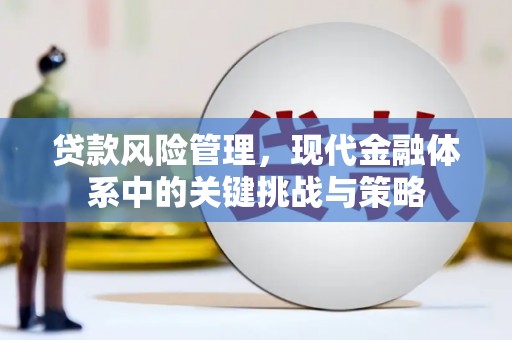 水里贷款风险管理，现代金融体系中的关键挑战与策略