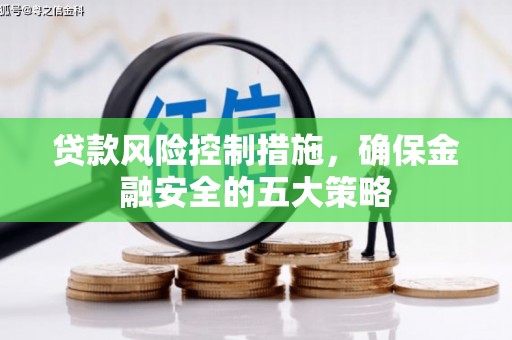 水里贷款风险控制措施，确保金融安全的五大策略