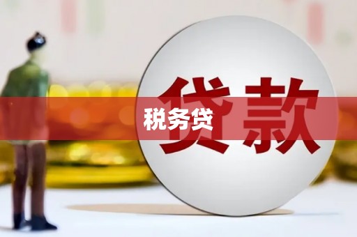 水里税务贷