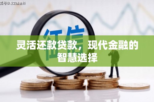 水里灵活还款贷款，现代金融的智慧选择