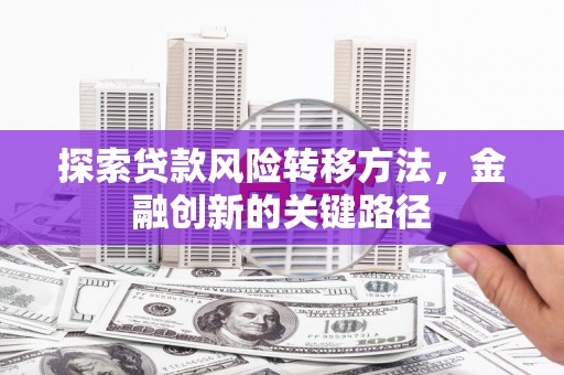 水里探索贷款风险转移方法，金融创新的关键路径