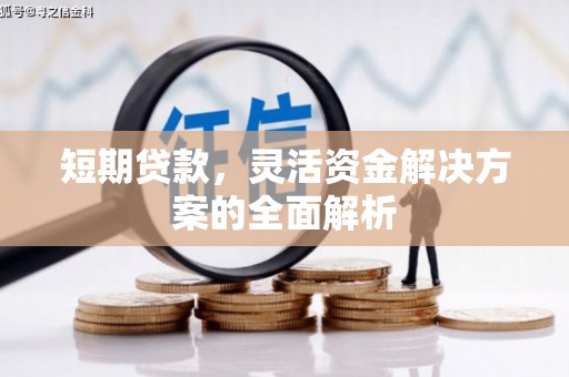 水里短期贷款，灵活资金解决方案的全面解析