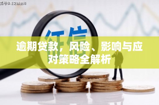 水里逾期贷款，风险、影响与应对策略全解析