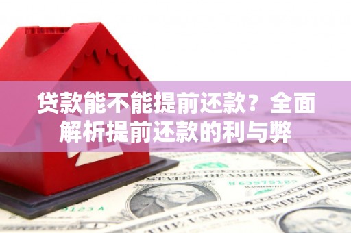 水里贷款能不能提前还款？全面解析提前还款的利与弊