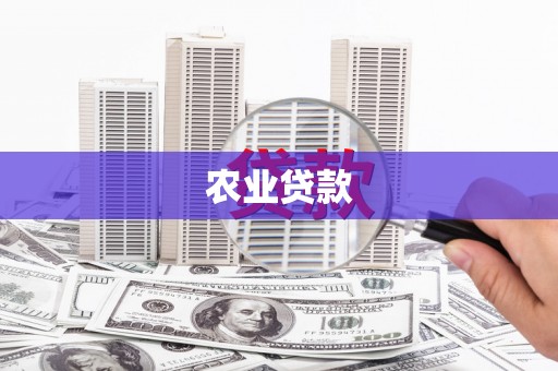 水里农业贷款