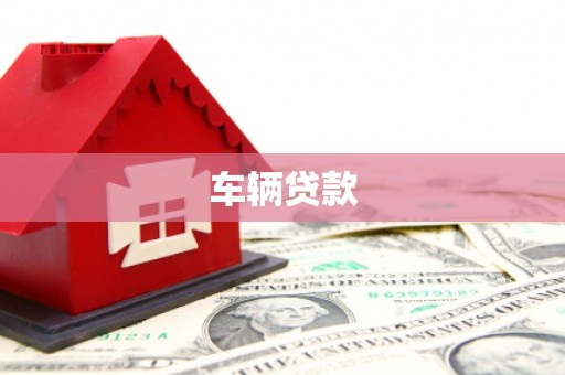水里车辆贷款