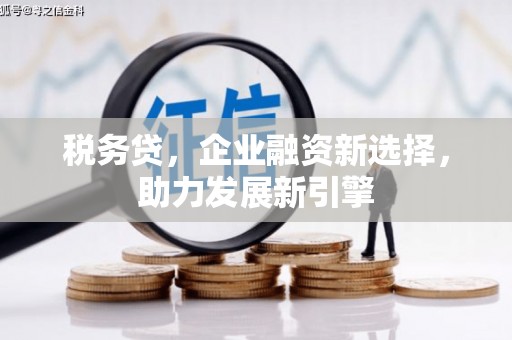 水里税务贷，企业融资新选择，助力发展新引擎