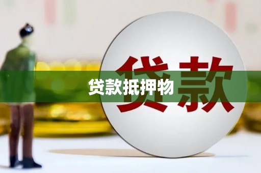 水里贷款抵押物