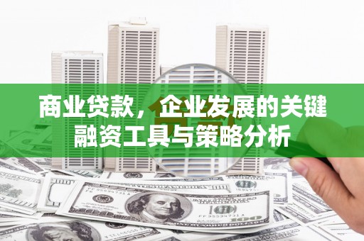 水里商业贷款，企业发展的关键融资工具与策略分析