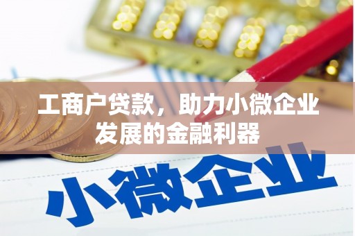水里工商户贷款，助力小微企业发展的金融利器
