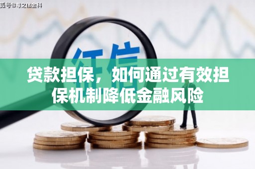 水里贷款担保，如何通过有效担保机制降低金融风险