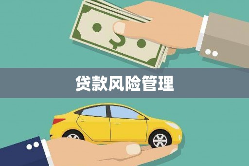 水里贷款风险管理